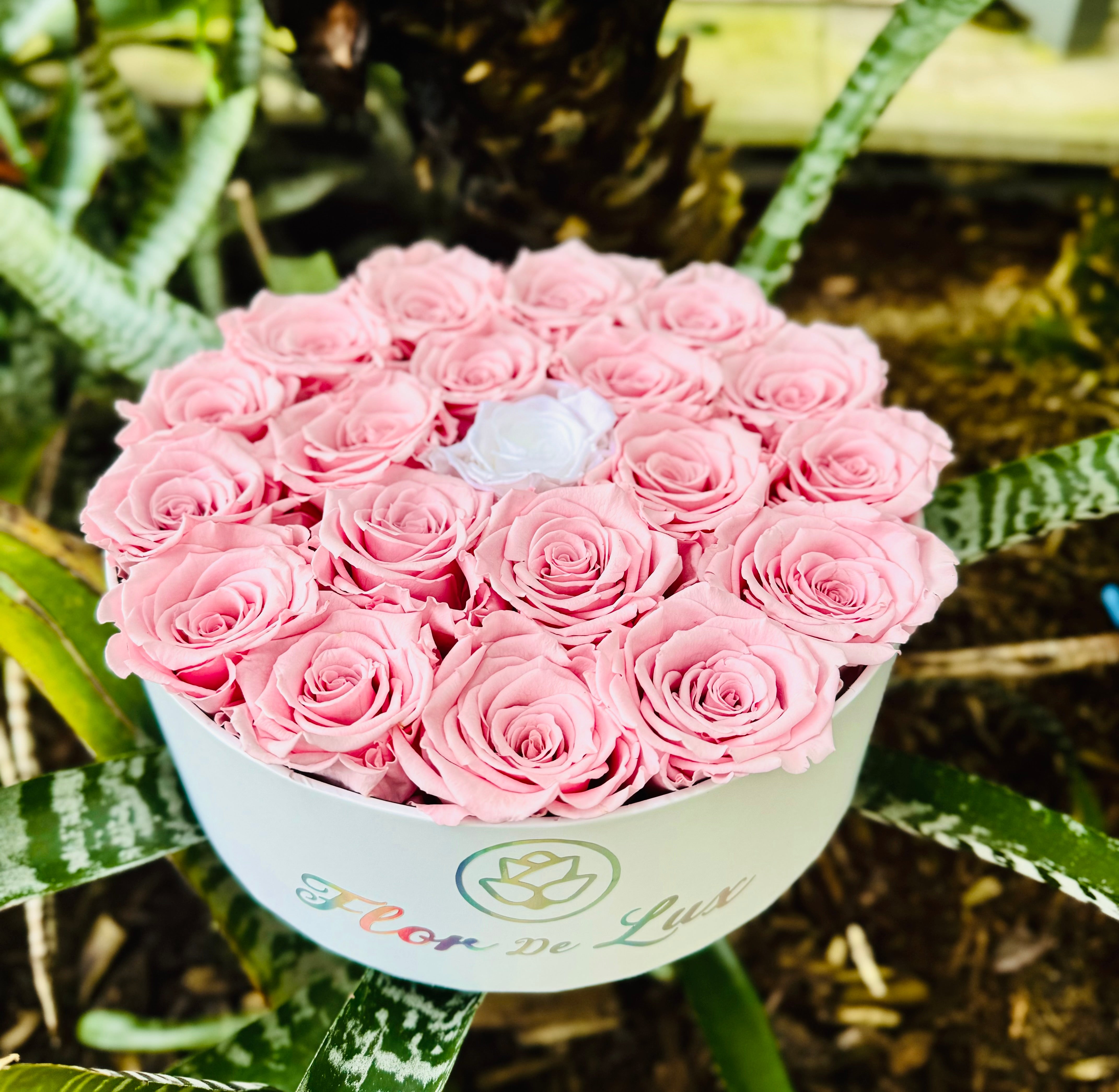 Large White Round Box - Preserved Roses