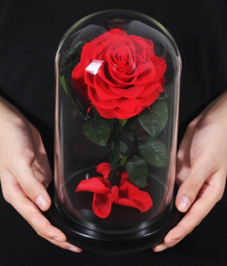 Beauty & The Beast Red Preserved Rose - Flor De Lux