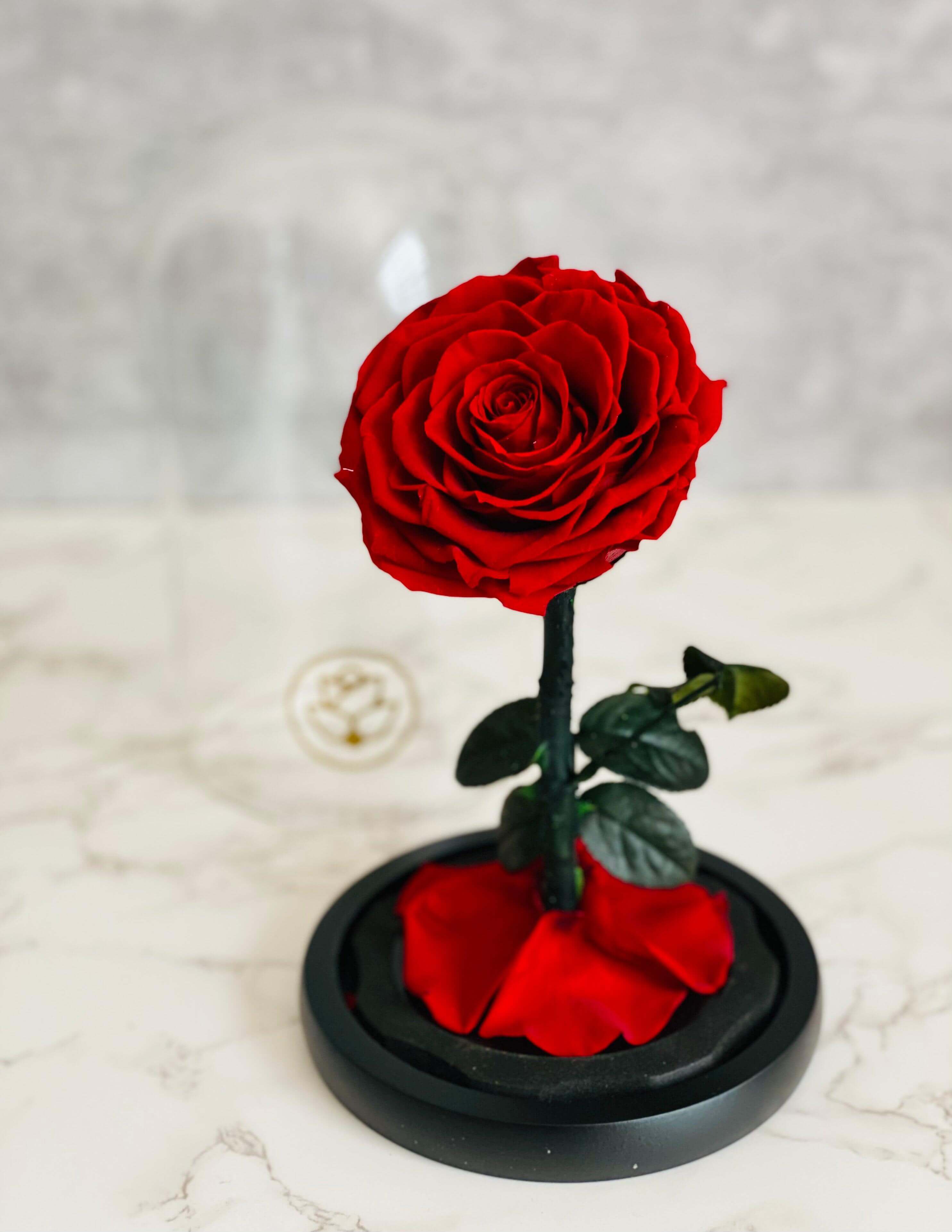 Beauty & The Beast Red Preserved Rose - Flor De Lux